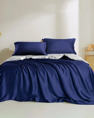 22 Momme 4PCS Two Color Silk Bedding Set