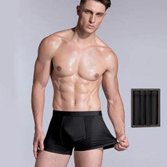 Lot de 4 Boxers en Soie pour Hommes