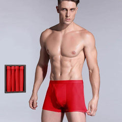 Lot de 4 Boxers en Soie pour Hommes