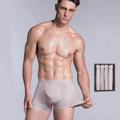 Lot de 4 Boxers en Soie pour Hommes