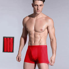 Caleçons Boxers en Soie pour Homme (3 Pièces)
